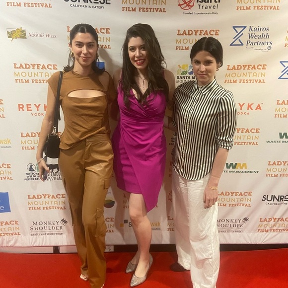 Pink/Fuchsia Siena Wrap Dress – Size 8 - Picture 4 of 5